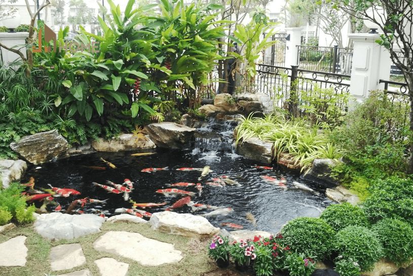 bản vẽ thiết kế hồ cá koi