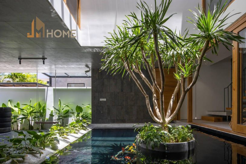 bản vẽ thiết kế hồ cá koi