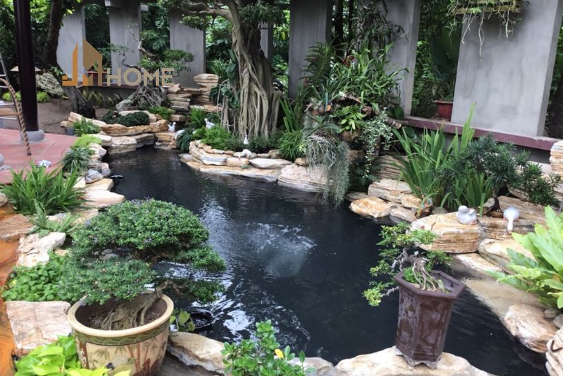 bản vẽ thiết kế hồ cá koi
