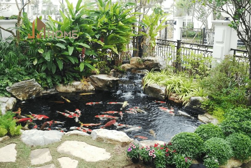 bản vẽ thiết kế hồ cá koi