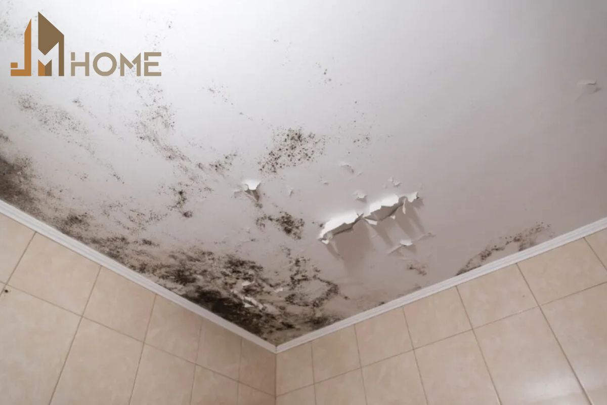 Các dấu hiệu nhận biết nhà vệ sinh bị thấm dột