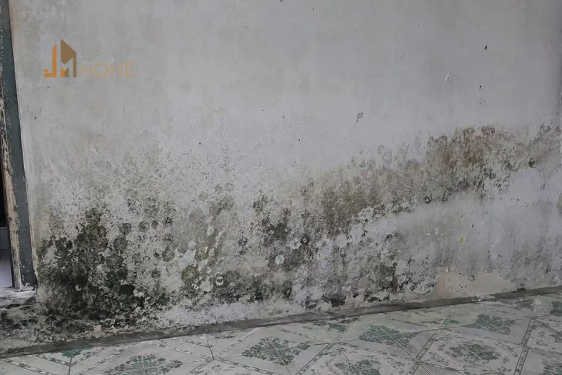 cải tạo phòng ngủ bị ẩm mốc tường