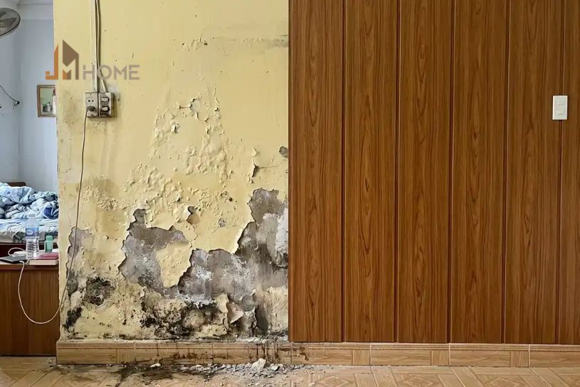 cải tạo phòng ngủ bị ẩm mốc tường