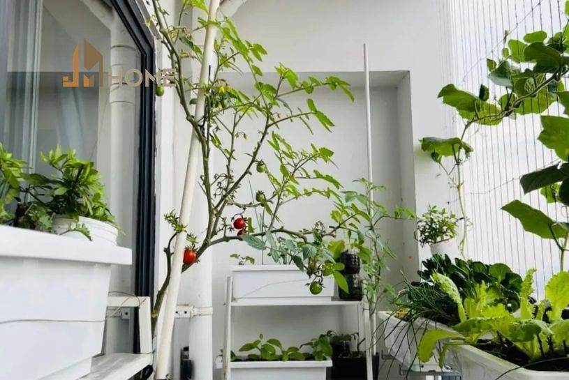 cải tạo ban công